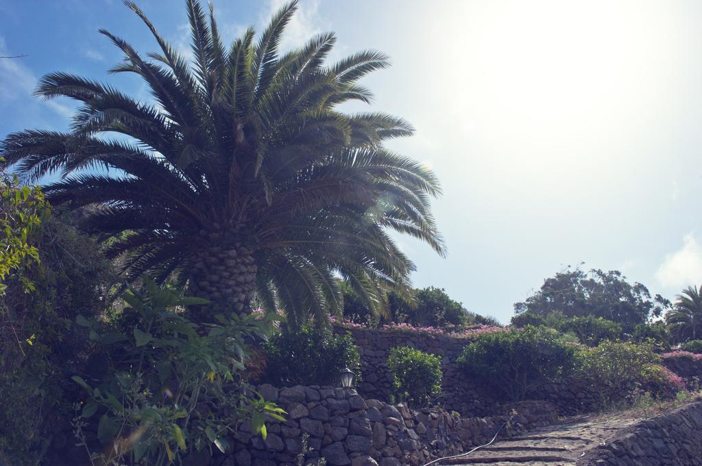 Finca Los Geranios Las Mercedes Exterior photo